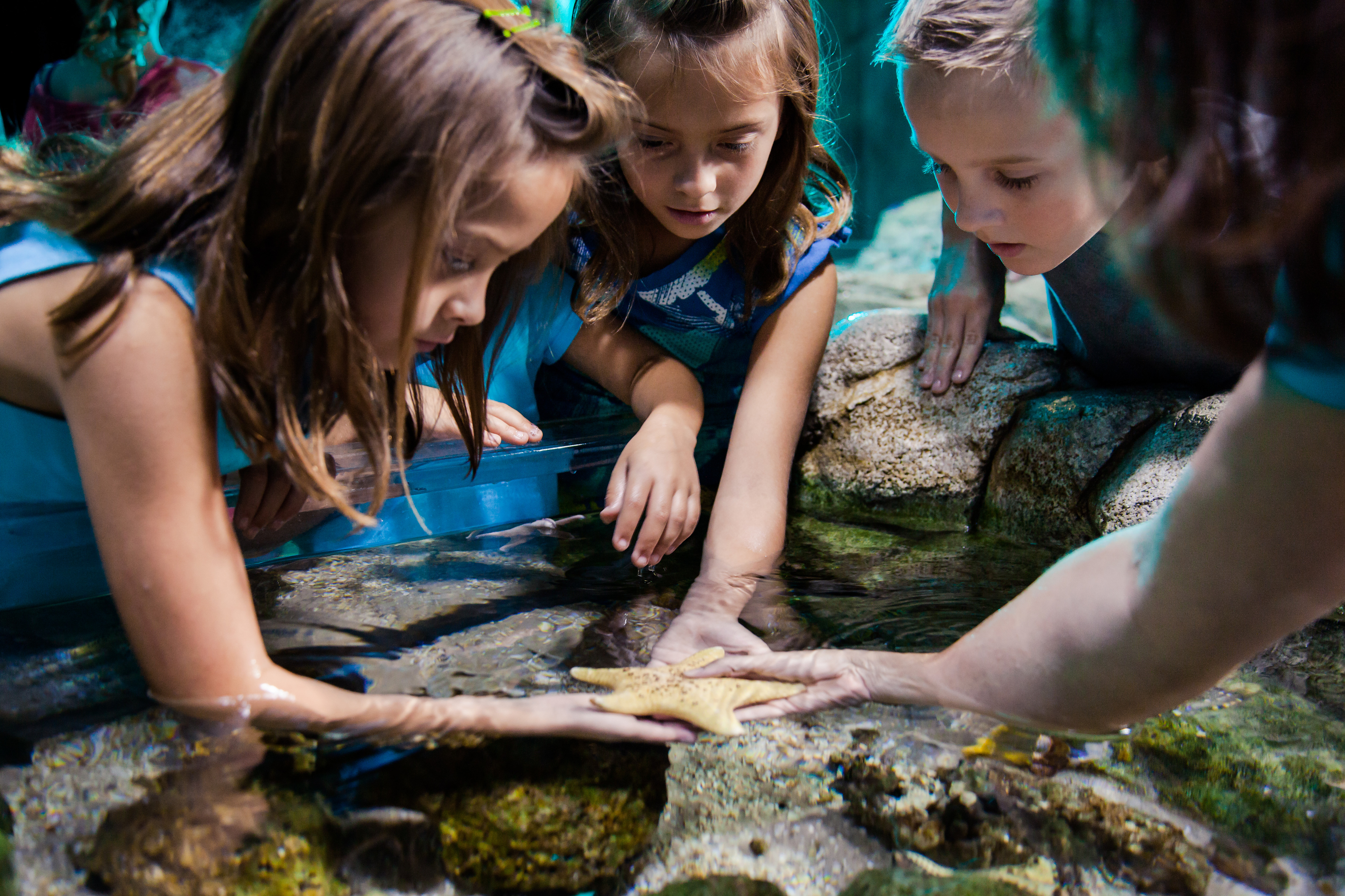Sealife Schools Touchpool Group | SEA LIFE Aquarium