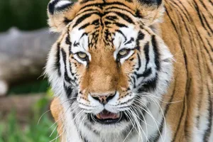 Michigan zoo discounts