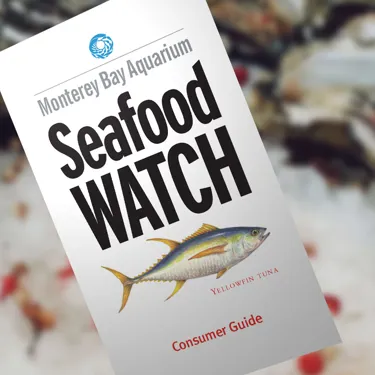 Seafood Watch | SEA LIFE Aquarium