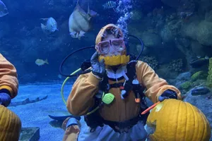 Underwater Pumpkin Carving | SEA LIFE at Mall of America