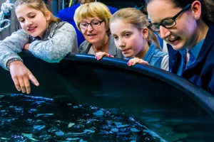 BTS Tour | SEA LIFE Michigan Aquarium