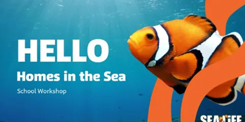 Education Workshops | SEA LIFE at Mall of America