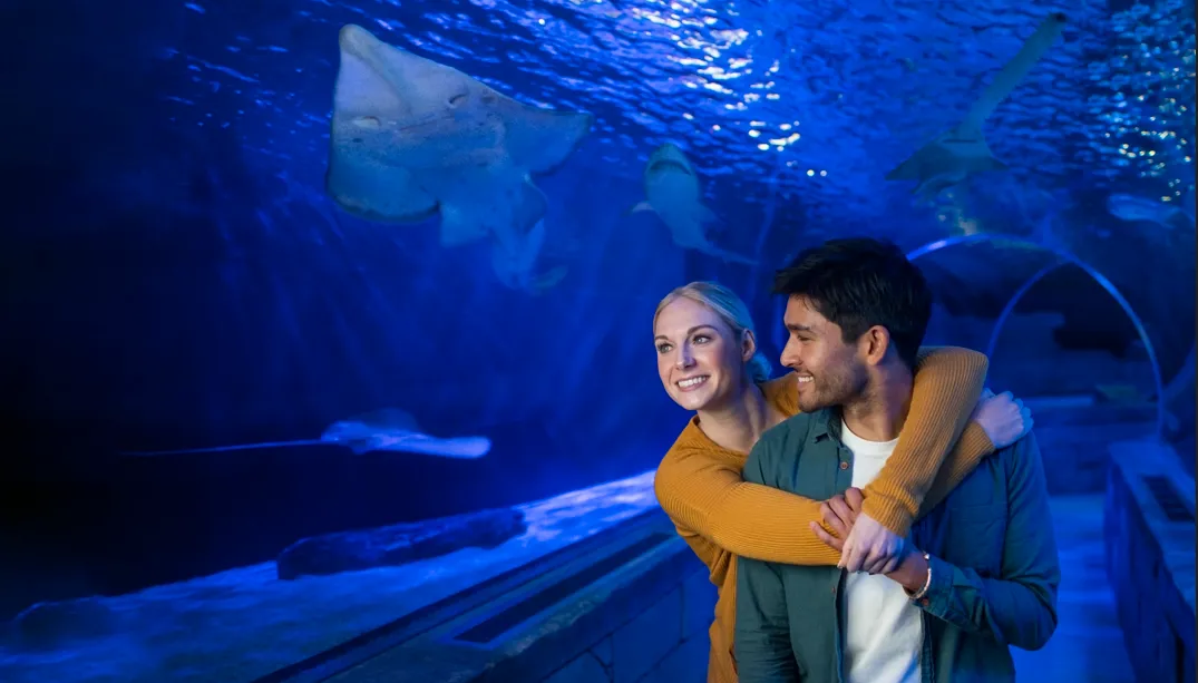 Sea Life Couple