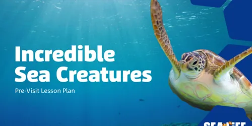 Education Workshops | SEA LIFE at Mall of America