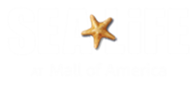 Logo | SEA LIFE at Mall of America