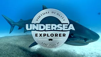 Virtual Reality Experience | SEA LIFE Aquarium Mall of America