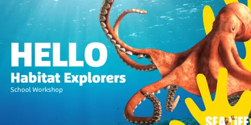 Education Workshops | SEA LIFE at Mall of America