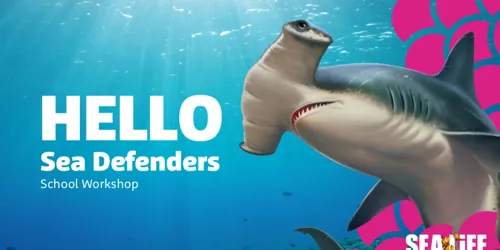 Education Workshops | SEA LIFE at Mall of America