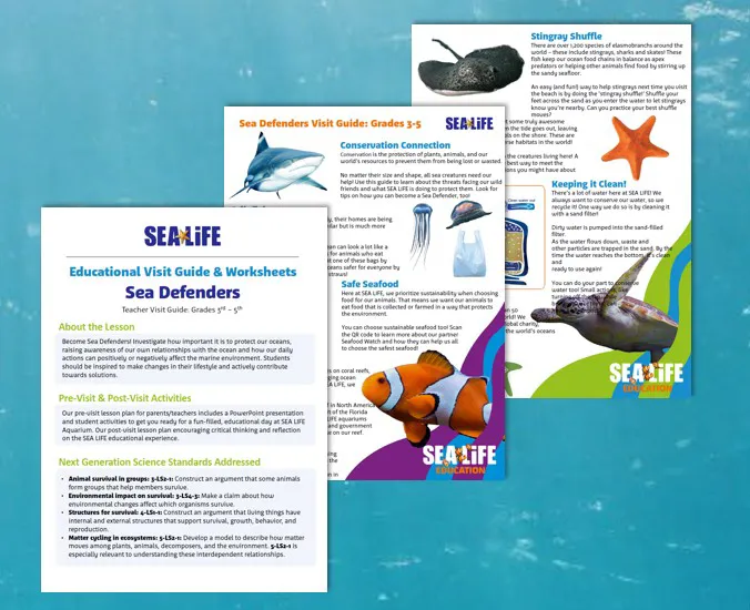 Sea Defenders Visit Guide Sealife Schools