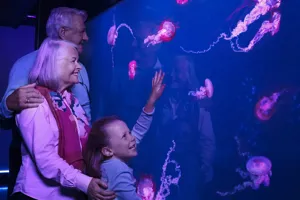 Grandparents And Granddaughter With Jellyfish