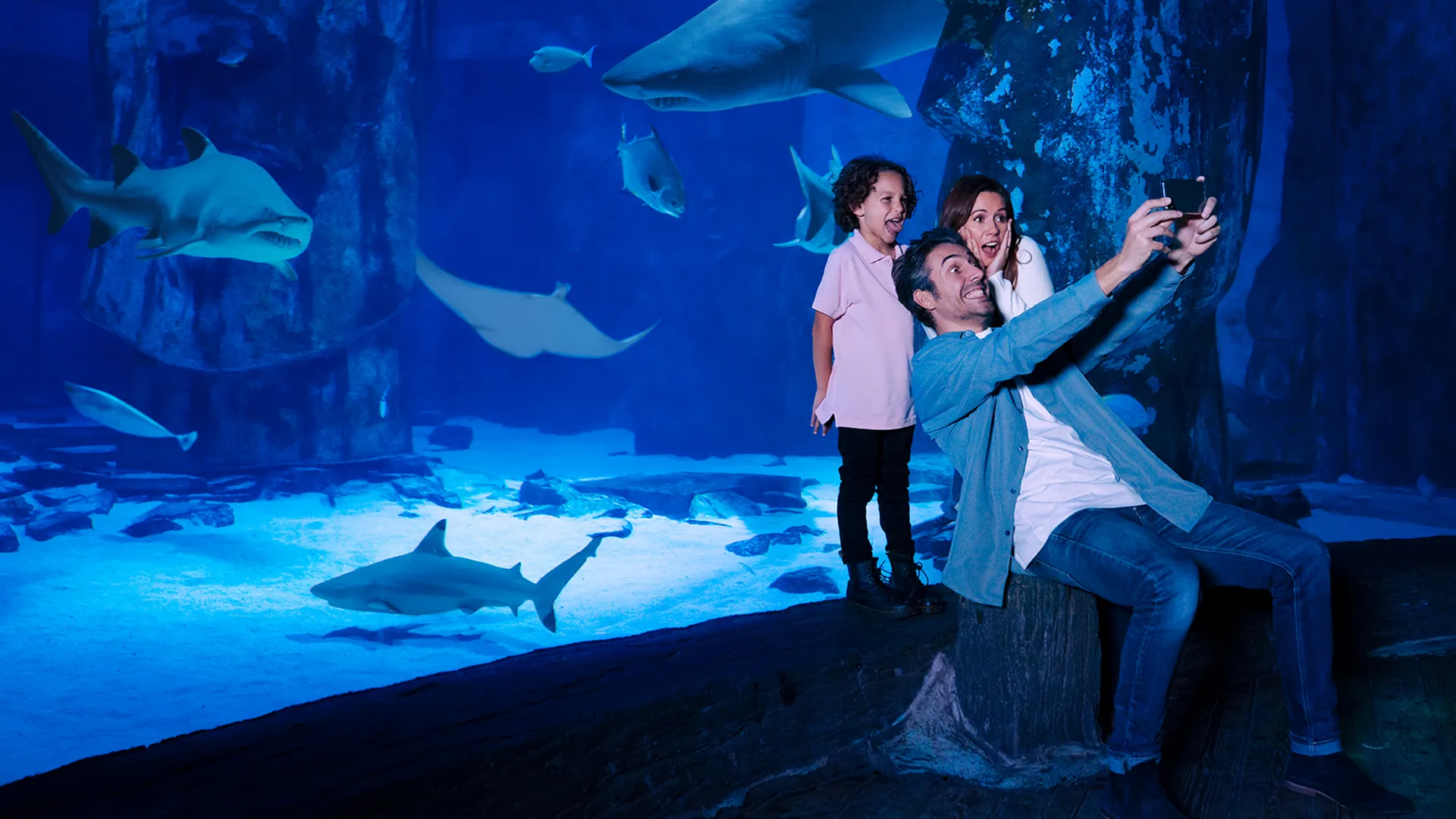 At SEA LIFE Minnesota, a family takes photos of colorful fish and sharks swimming in large underwater viewing tunnels inside the aquarium.