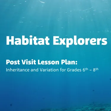 Habitat Explorers: Grade 6-8 after