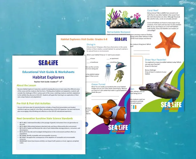 Habitiat Explorers Visit Guide Sealife Schools (1)