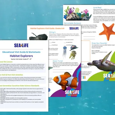 Habitiat Explorers Visit Guide Sealife Schools (1)