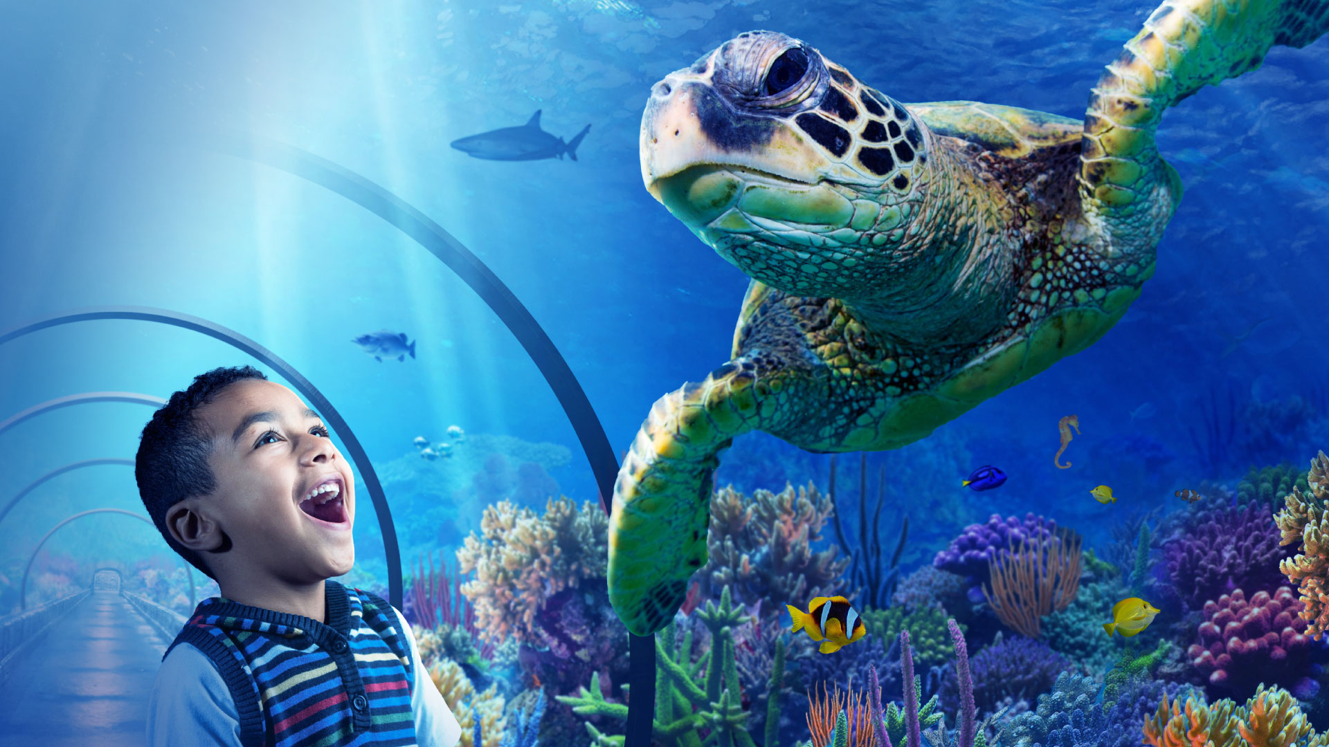 Hawaii Mom Blog: Visit Minneapolis: SEA LIFE Aquarium at Mall of America