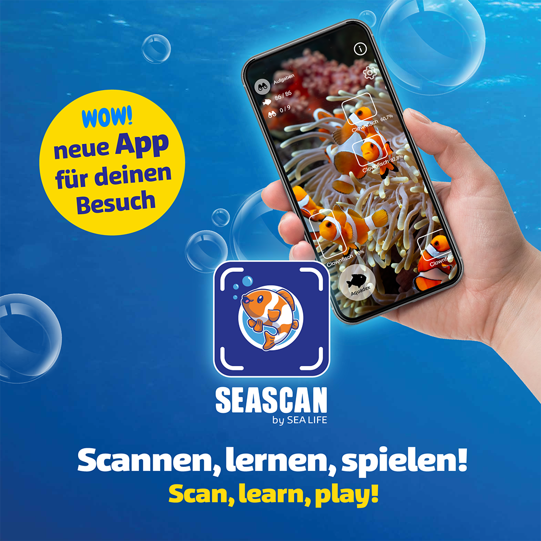 SL SEASCAN Launch Ad 1080X1080