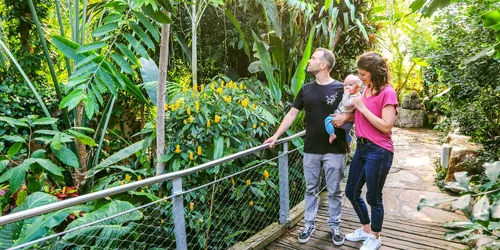 SLHAN Familie Im Regenwald Mobile