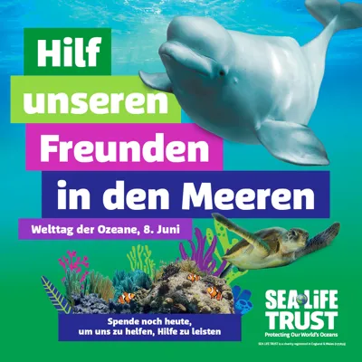 Hilf unseren Freunden in den Meeren