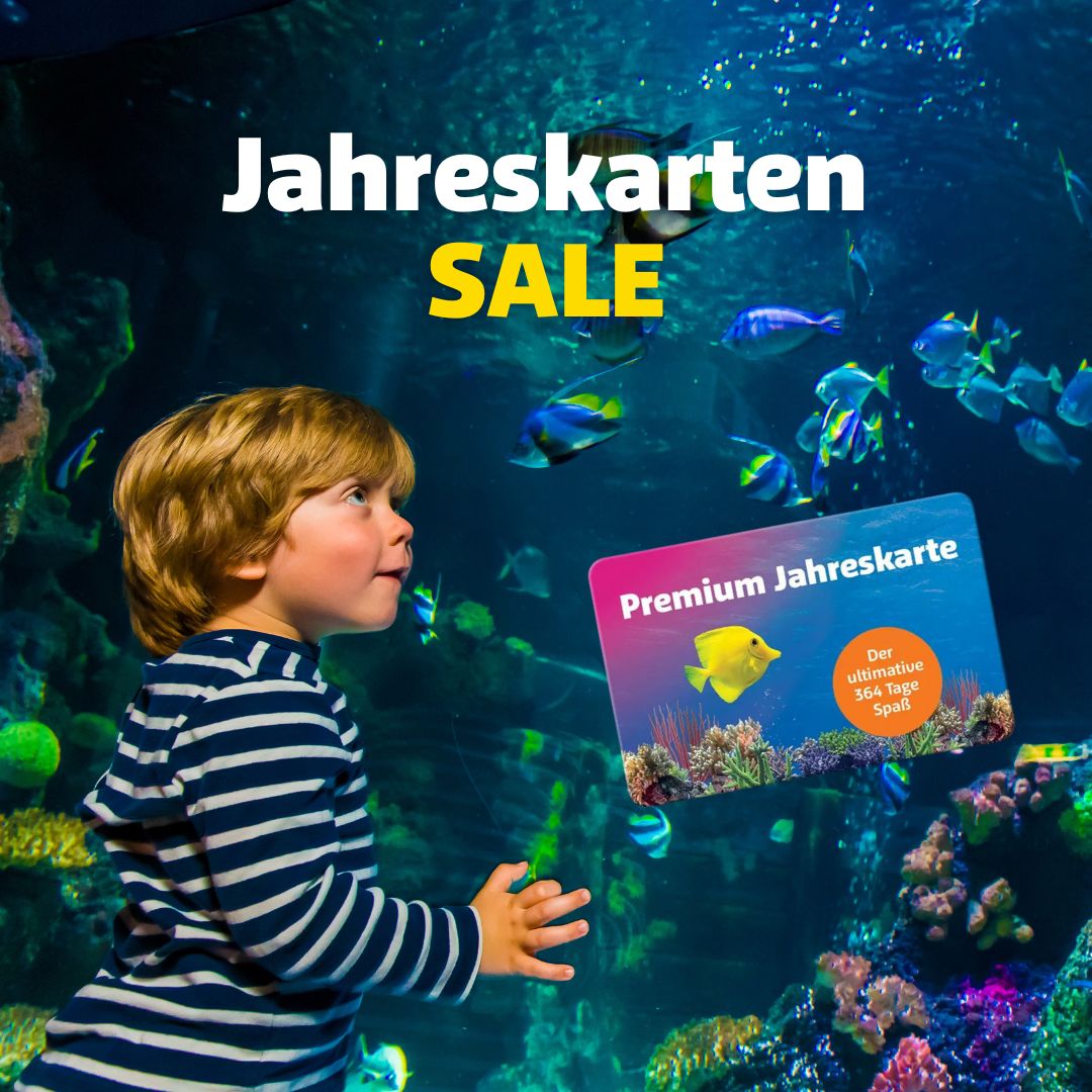 Jahreskarten Sale 03.11.2024 1