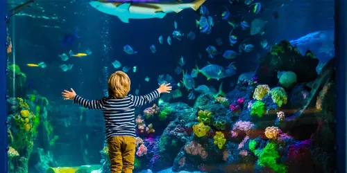 SLTDF Hero Banner Zugeschnitten