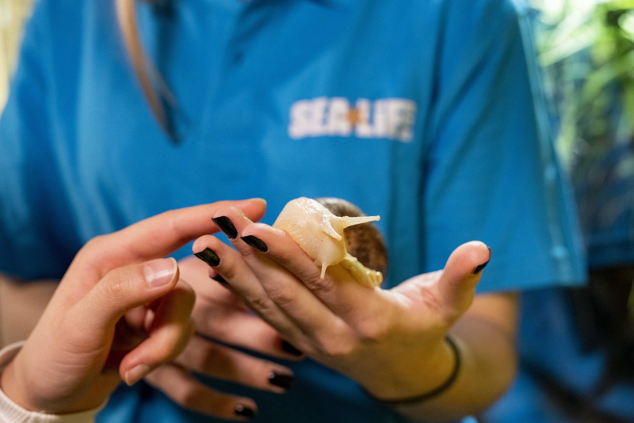 Tropisches Frühstück im SEA LIFE München