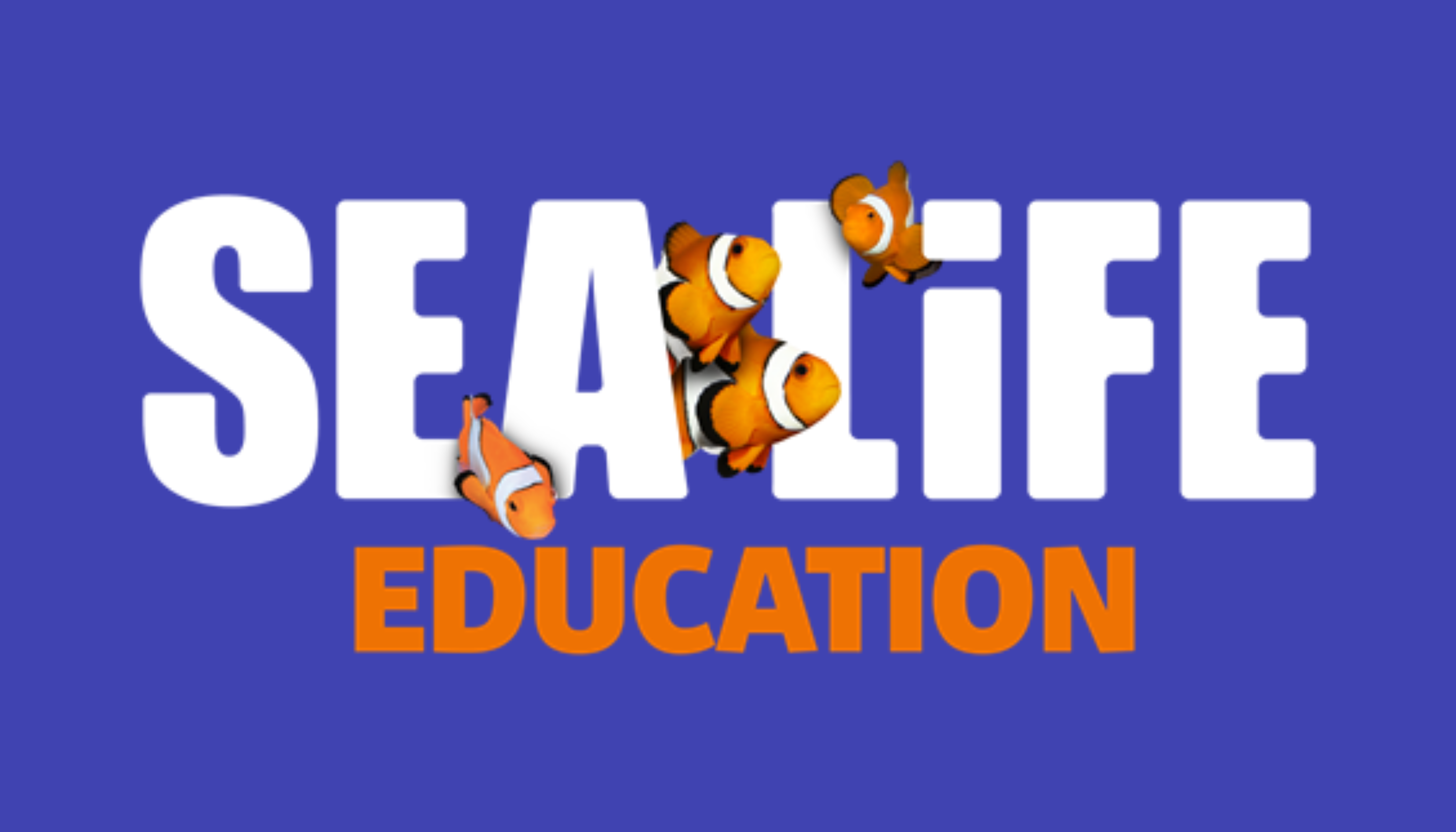 11972 Sealife Education Logo NEW White Png