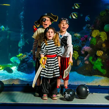 SEA LIFE Kindergeburtstag