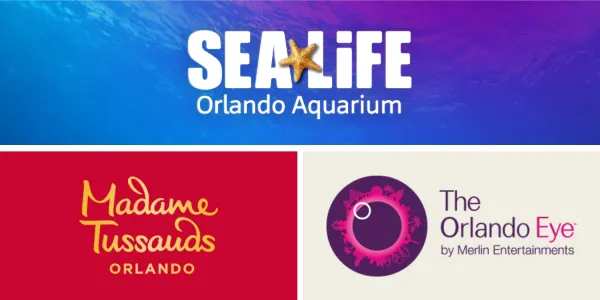 SL X MT X OE 600X300