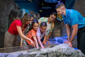 Guests experiencing the rockpool exhibit by touching one of sea creatures