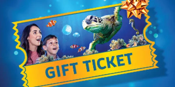 SEA LIFE 600X300 CMS Ticket Image