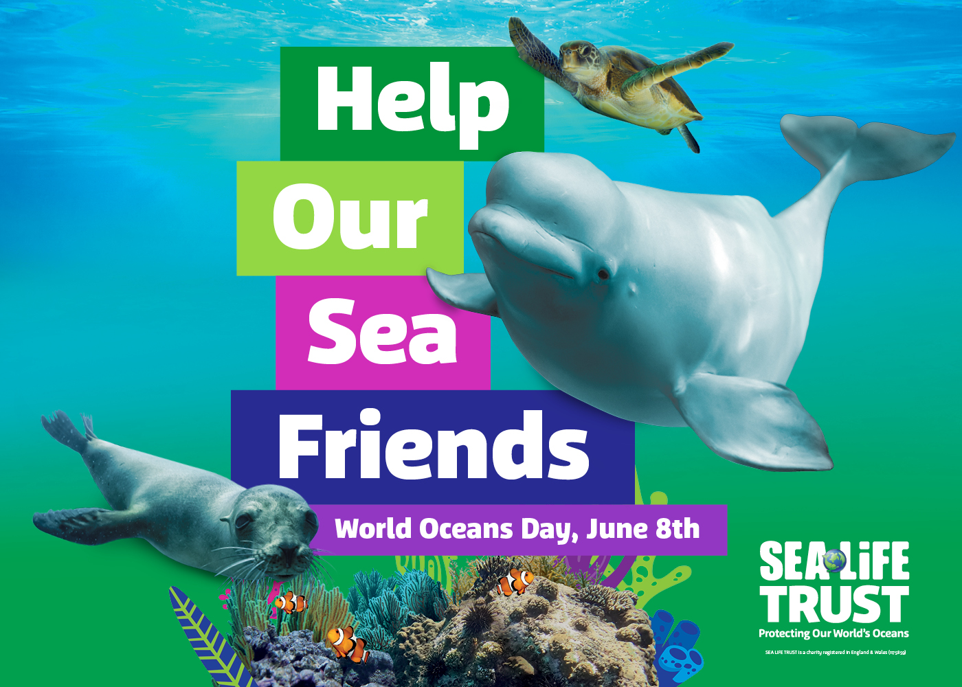 Image featuring a seal, sea turtle, and beluga whale with the messaging 