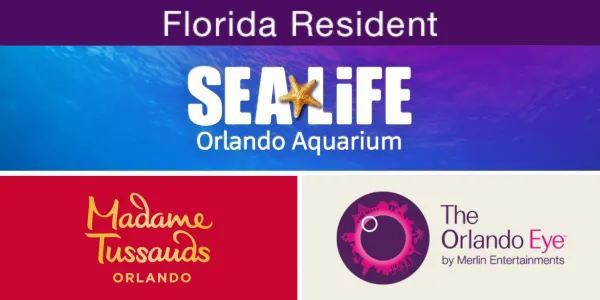 FL SL X MT X OE 600X300