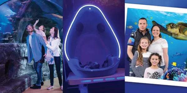 SL + VR + Photo Web 600X300