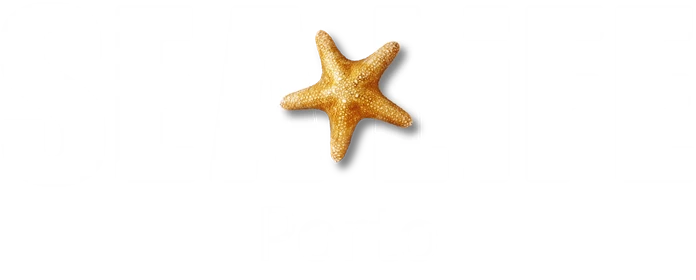 SEA LIFE + Porto (White Text) RGB