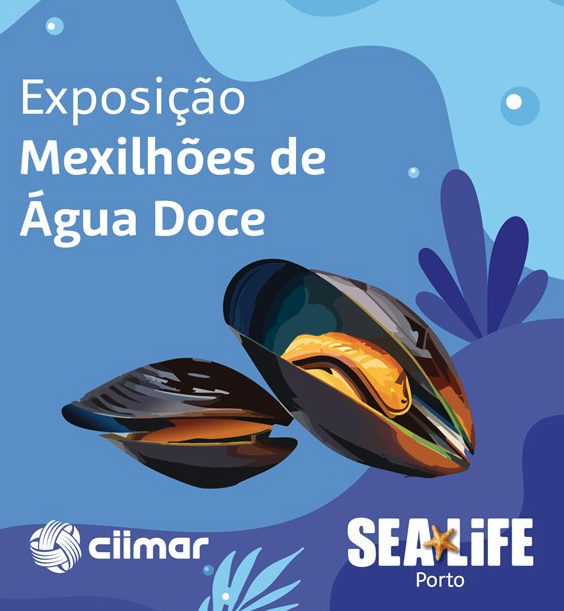 Exposição “Mexilhões de Água Doce”