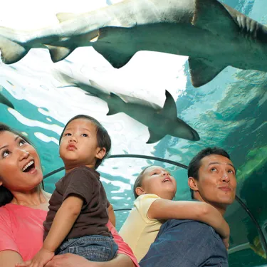 9598 Mg 9987Small Cropped | SEA LIFE Aquarium