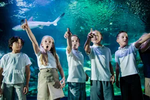 Child Pop Up 3000X1000 | SEA LIFE Aquarium