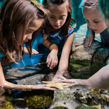 7900 Untitled 448 | SEA LIFE Michigan Aquarium