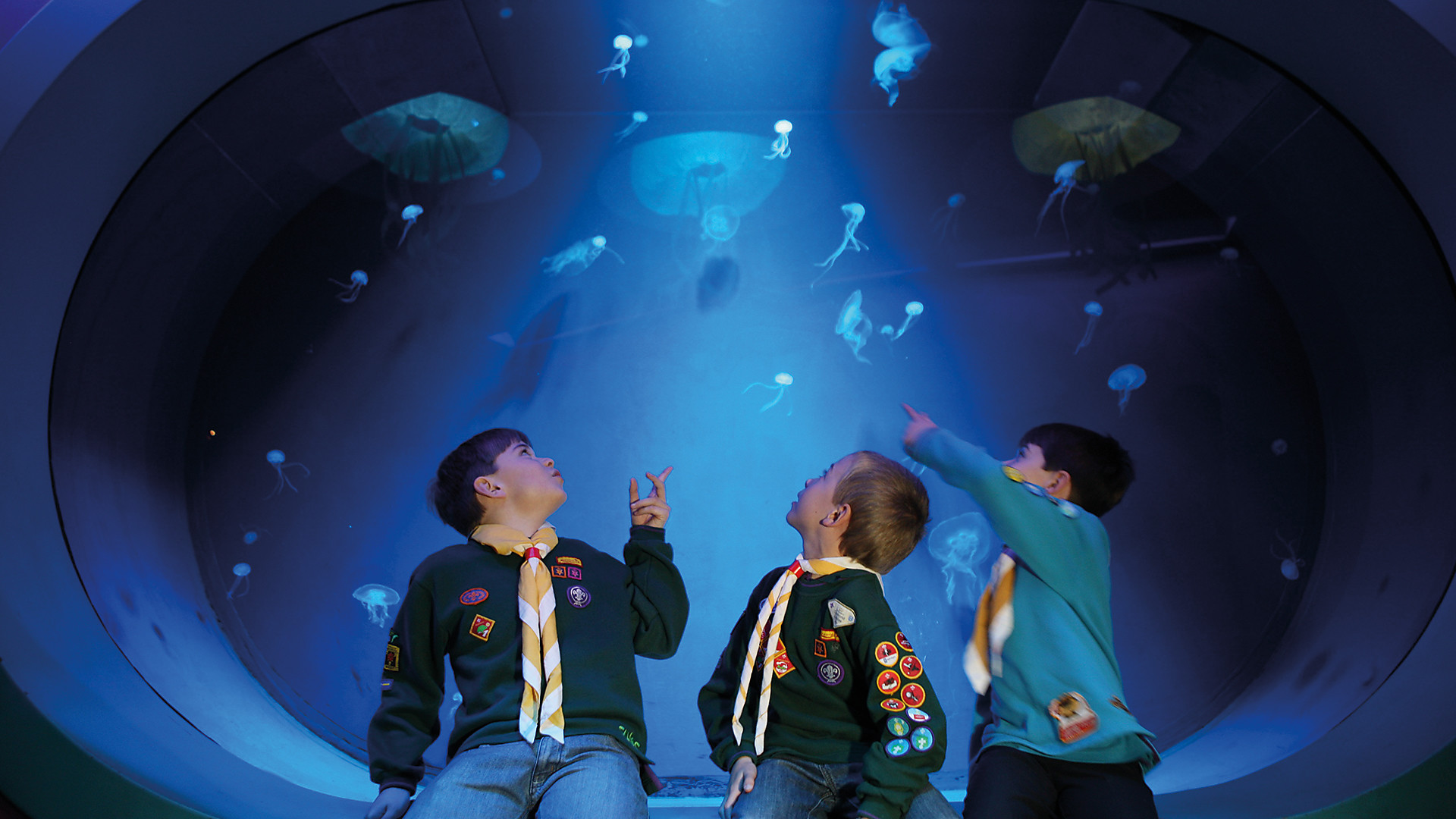 Sealife Groups Boyscouts | SEA LIFE Aquarium