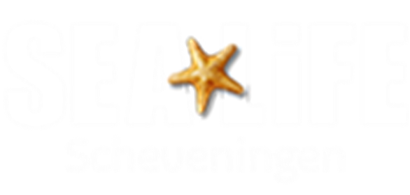 Logo Scheveningen 75X188