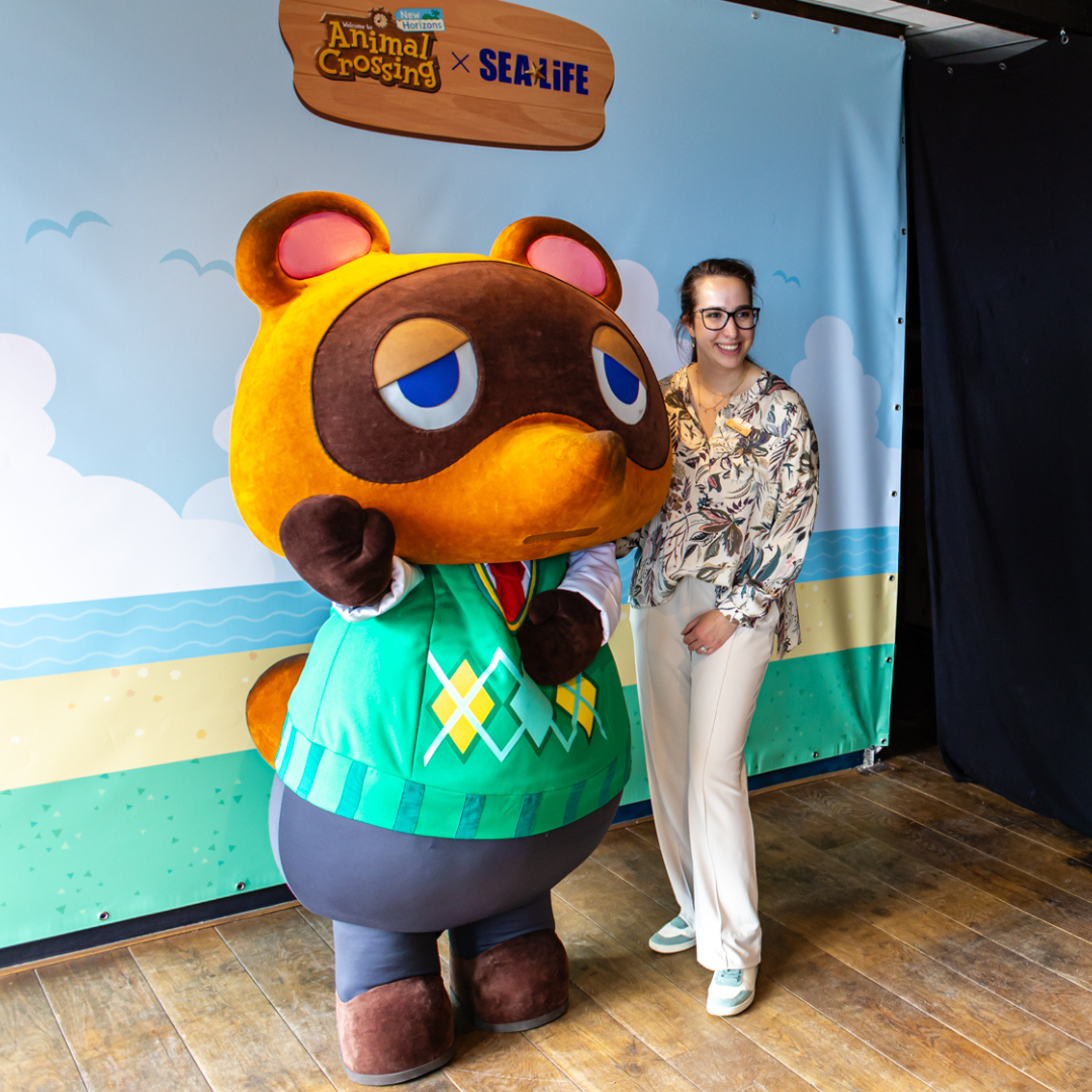 M&G Tom Nook Generisch