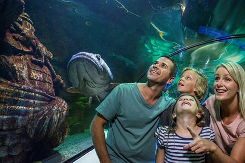 Experience SEA LIFE Aquarium - the ultimate family day out