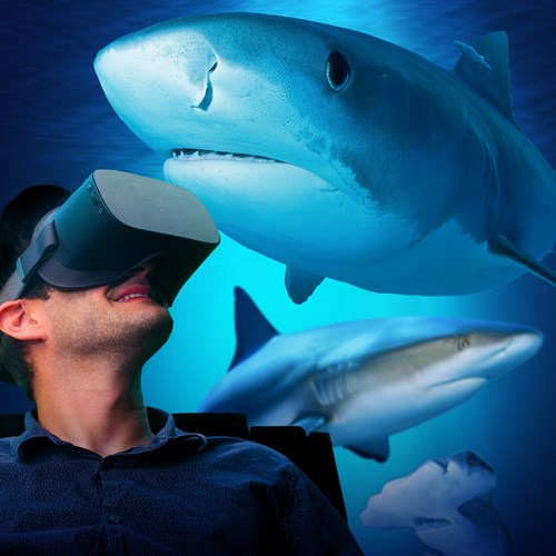 VR Experience Sharks