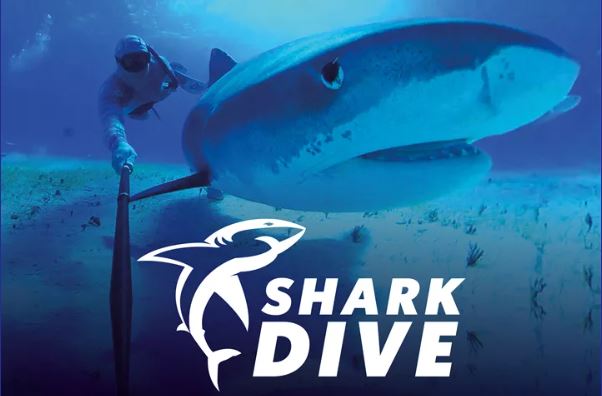 Shark Dive Experience