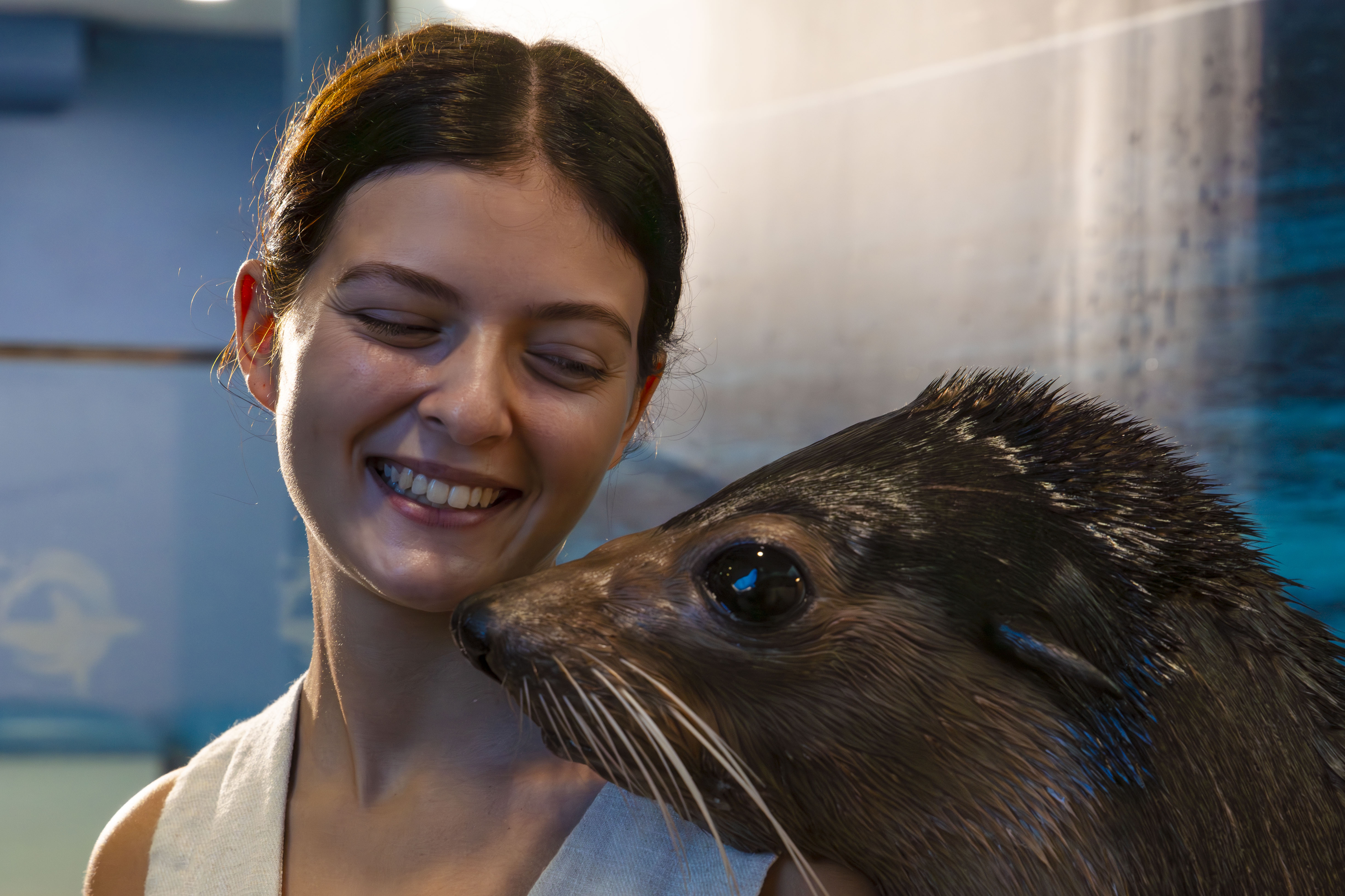 Seal Encounter`