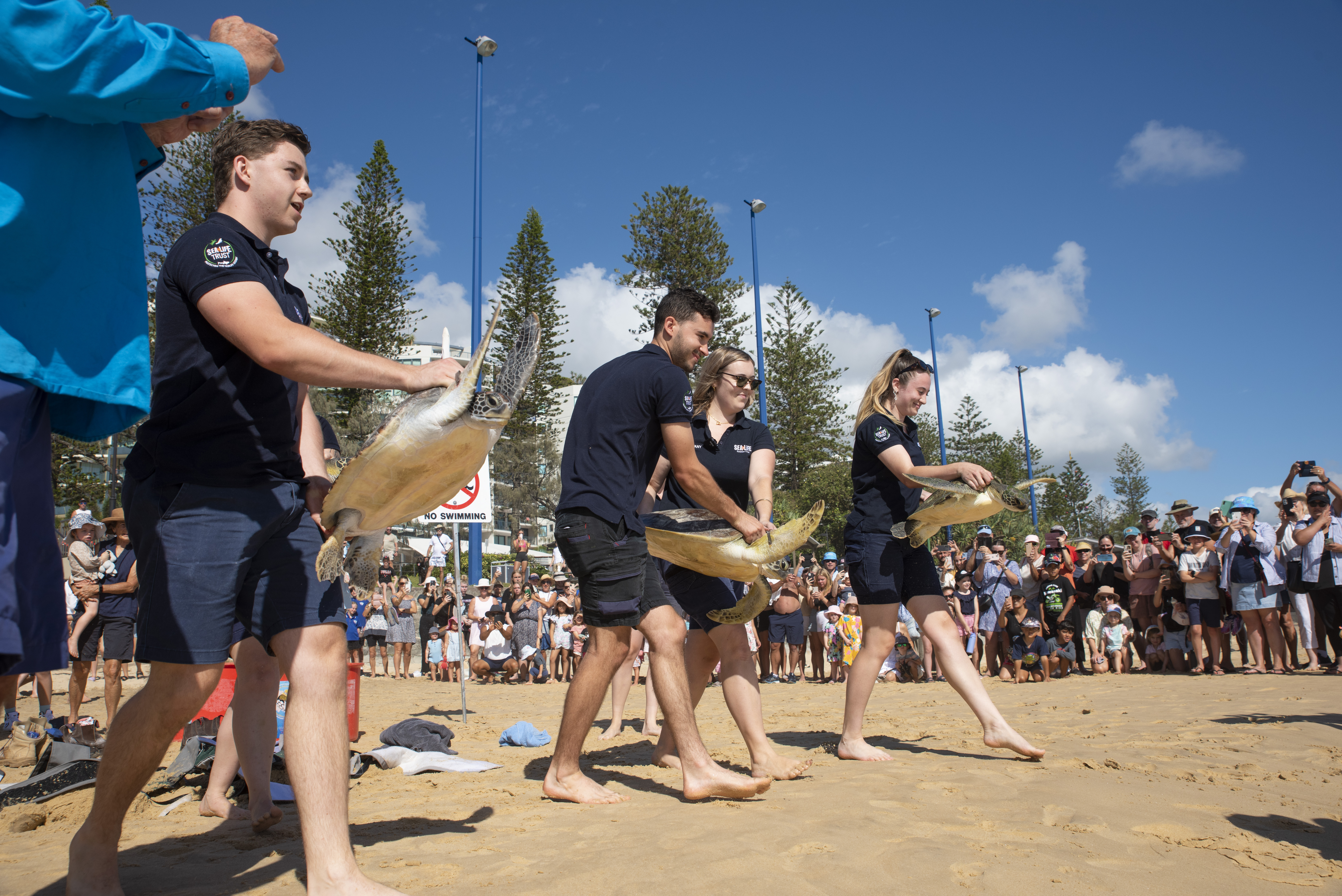 SLSC Jan23 Turtle Release 20230123 07 (1)