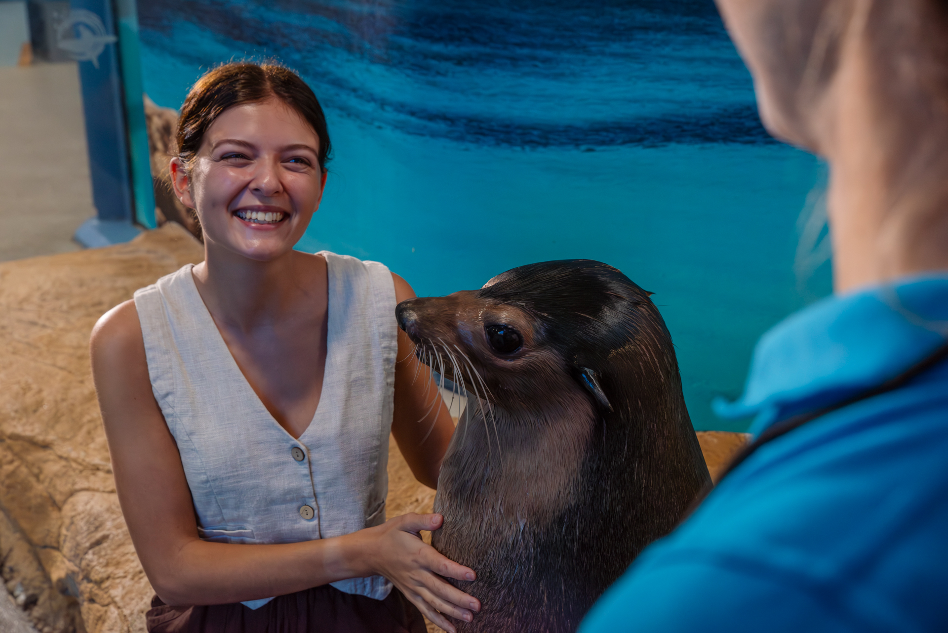 Seal Encounter