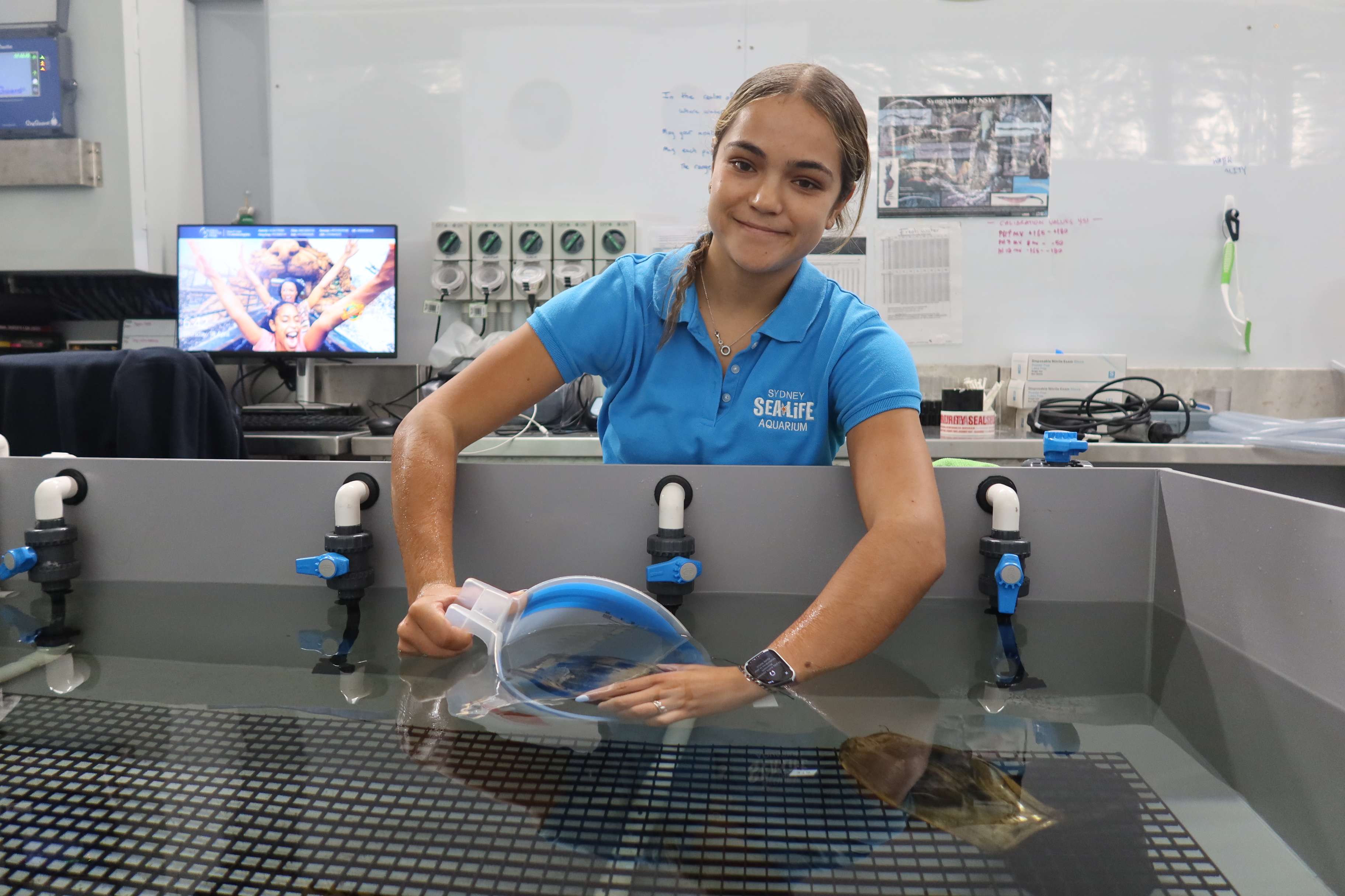 Aquarist Natalie Gonzales Prepares Egg for Shipment SEA LIFE Sydney Aquarium
