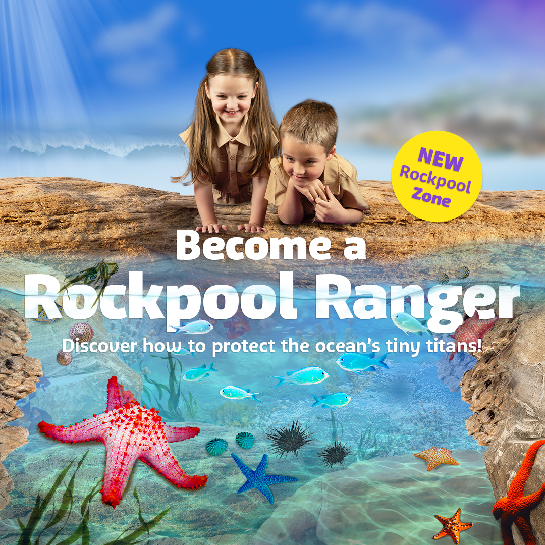 SLS Rockpools Whatson 700X700px