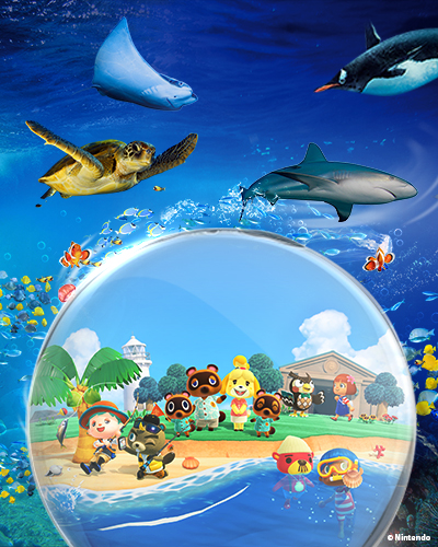 Animal Crossing: New Horizons at SEA LIFE Sydney Aquarium